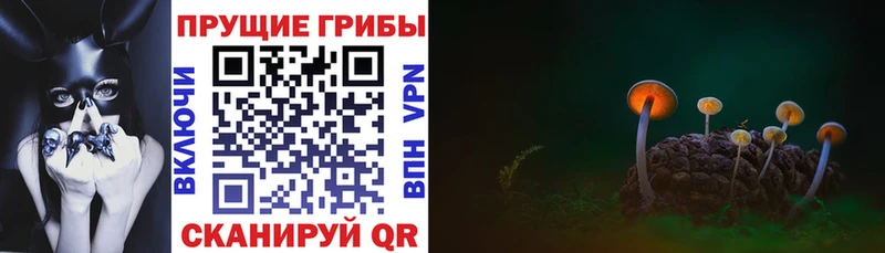 купить наркотики цена  Слободской  Галлюциногенные грибы Magic Shrooms 