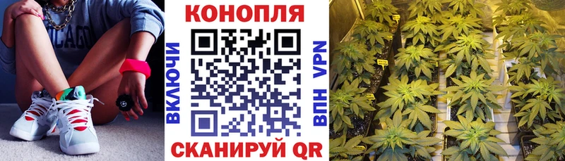 купить  сайты  Слободской  Конопля конопля 